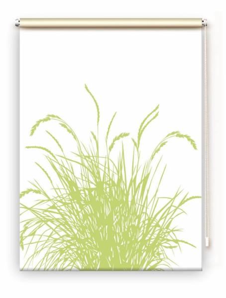 Rollo Reed24 Apfel blanco, Rollo, Motivrollo, Rollo mit Druck, Fotorollo, bedrucktes Rollo, Fensterrollo,verdunkelndes Rollo, Sonnenschutz Rollo